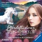 Gina Mayer, Diana Kriehn - Pferdeflüsterer-Academy - Eine gefährliche Schönheit, 2 Audio-CDs (Livre audio)