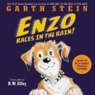 Garth Stein, R. W. Alley - Enzo Races in the Rain!
