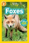 Laura Marsh, National Geographic Kids, Shelby Lees, Laura Marsh - Foxes (National Geographic Kids Readers, Level 2)