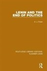 A J Polan, A. J. Polan - Lenin and the End of Politics