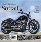 Dr. Heinrich Christmann, Heinrich Christmann, Heinrich (Dr.) Christmann, Carste Heil, Carsten Heil - Harley-Davidson Softail