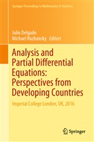 Juli Delgado, Julio Delgado, Ruzhansky, Ruzhansky, Michael Ruzhansky - Analysis and Partial Differential Equations: Perspectives from Developing Countries