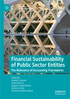 Isabe Brusca, Isabel Brusca, Eugenio Caperchione, Eugenio Caperchione et al, Josette Caruana, Sandra Cohen... - Financial Sustainability of Public Sector Entities