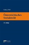 Walter Pfeil - Österreichisches Sozialrecht