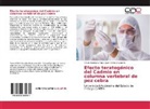 Juan Carlos Gaytán O, Juan Carlos Gaytán O., Artur González Rojo, Arturo González Rojo - Efecto teratogénico del Cadmio en columna vertebral de pez cebra