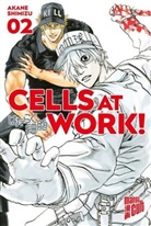 Akane Shimizu - Cells at Work!. Bd.2