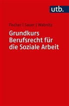 Markus Fischer, Markus (Prof. Dr. Fischer, Markus (Prof. Dr.) Fischer, Jürgen Sauer, Jürgen (Prof. D Sauer, Reinhar Wabnitz... - Grundkurs Berufsrecht für die Soziale Arbeit