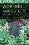 Emily C. Donaldson, Emily C./ Sivaramakrishnan Donaldson, K. Sivaramakrishnan - Working With the Ancestors