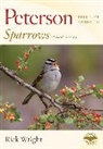 Wright Rick Wright, Rick Wright - Peterson Reference Guide to Sparrows of North America