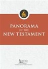 Stephen J Binz, Stephen J. Binz - Panorama of the New Testament
