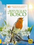 Caz Buckingham, Andrea Pinnington - Il risveglio del bosco