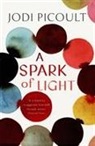 Jodi Picoult - SPARK OF LIGHT SIGNED EDITION