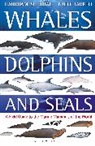 Brett Jarrett, Brett Shirihai Jarrett, Hadoram Shirihai, Brett Jarrett - Whales, Dolphins and Seals