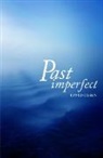 David Olsen - Past Imperfect