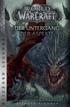Richard A Knaak, Richard A. Knaak - World of Warcraft: Der Untergang der Aspekte