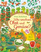 Hannah Watson, Federica Iossa - Mein Stickerbuch: Wie wachsen Obst und Gemüse?