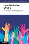 Angela Garcia, Angela Cora Garcia, Garcia Angela Cora - How Mediation Works