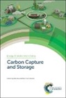 Mai (Imperial College London Bui, Mai Mac Dowell Bui, Niall (Imperial College London Mac Dowell, Mai Bui, Mai (Imperial College London Bui, Niall Mac Dowell... - Carbon Capture and Storage