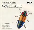 Anselm Oelze, Wolfram Koch, Robert Stadlober - Wallace, 6 Audio-CDs (Hörbuch)