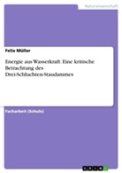 Felix Müller - Energie aus Wasserkraft. Eine kritische Betrachtung des Drei-Schluchten-Staudammes
