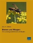Ed J R Scholz, Ed. J. R. Scholz, Ed.J.R. Scholz - Bienen und Wespen