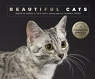 Darlene Arden, Darlene Mays Arden, Nick Mays - Beautiful Cats