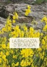 Sandro Ferrieri - La ragazza d'Irlanda