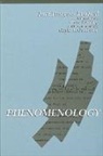 Jean-Francois Lyotard - Phenomenology