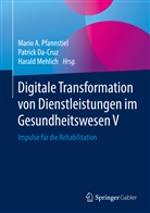 Patric Da-Cruz, Patrick Da-Cruz, Harald Mehlich, Mario A. Pfannstiel - Digitale Transformation von Dienstleistungen im Gesundheitswesen V