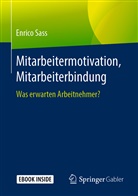 Enrico Sass, Enrico (Dr.) Sass - Mitarbeitermotivation, Mitarbeiterbindung, m. 1 Buch, m. 1 E-Book