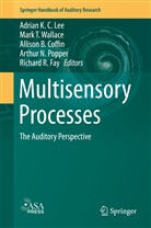 Allison B Coffin et al, Allison Coffin, Allison B. Coffin, Richard R Fay, Richard R. Fay, Adrian K. C. Lee... - Multisensory Processes