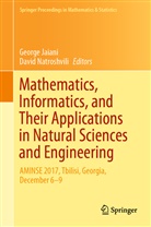 Georg Jaiani, George Jaiani, Natroshvili, Natroshvili, David Natroshvili - Mathematics, Informatics, and Their Applications in Natural Sciences and Engineering