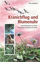 Margret Schneevoigt, Peter Wohlleben, Margret Schneevoigt - Kranichflug und Blumenuhr