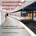 Christop Levin, Christoph Levin - Anschließend schlug ich beruhigend auf den Fahrgast ein