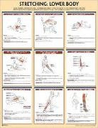 Human Kinetics, Human Kinetics - Stretching Poster: Lower Body