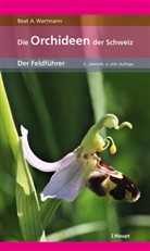 Beat A. Wartmann, Beat A. Dr. phil. Wartmann - Die Orchideen der Schweiz