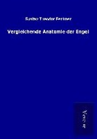 Gustav Theodor Fechner - Vergleichende Anatomie der Engel
