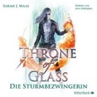 Sarah J Maas, Sarah J. Maas, Ann Vielhaben - Throne of Glass 5: Die Sturmbezwingerin, 3 Audio-CD, 3 MP3 (Hörbuch)