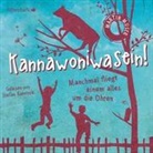 Martin Muser, Stefan Kaminski - Kannawoniwasein - Manchmal fliegt einem alles um die Ohren, 2 Audio-CD (Audio book)