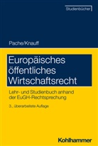 Ludger Breuer, Stefanie Egidy, Tobias H. Irmscher, Carsten Jennert, Matthia Kettemann, Matthias Kettemann... - Europäisches öffentliches Wirtschaftsrecht