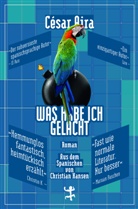 César Aira, Christian Hansen - Was habe ich gelacht