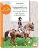Sonja Weber - Versammlung für gesunde Pferde und Reiten in Leichtigkeit