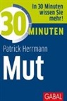 Patrick Herrmann - 30 Minuten Mut
