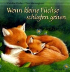 Tina Macnaughton, Caroline Pitcher - Wenn kleine Füchse schlafen gehen