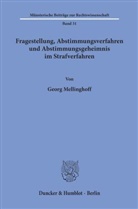 Georg Mellinghoff - Fragestellung, Abstimmungsverfahren und Abstimmungsgeheimnis im Strafverfahren.