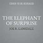 Joe R. Lansdale - The Elephant of Surprise (Hörbuch)