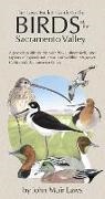 John Muir Laws - The Laws Pocket Guide to the Birds of the Sacramento Valley