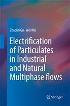 Zhaoli Gu, Zhaolin Gu, Wei Wei - Electrification of Particulates in Industrial and Natural Multiphase flows