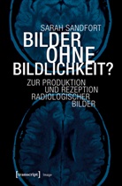 Sarah Sandfort - Bilder ohne Bildlichkeit?