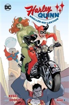 Rachel Dodson, Terry Dodson, Michael Kaluta, Karl Kesel, Phil Noto, Craig Roussau... - Harley Quinn: Knaller-Kollektion. Bd.2